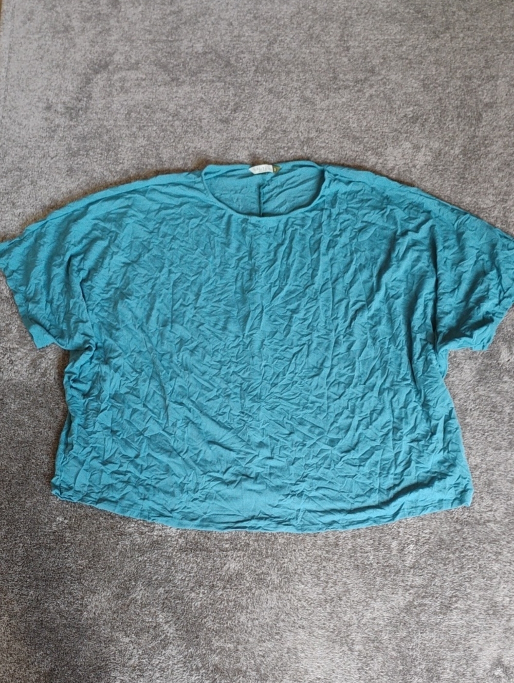 Chalet Et Ceci Crinkle Top 2X(?) Size Unclear Please See Measurements
